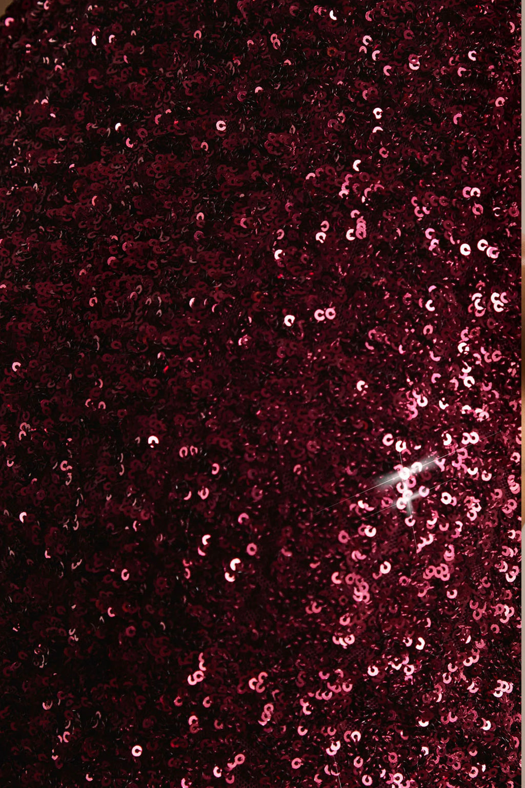 Tulia | Burgundy Sequin High-Neck Maxi Dress