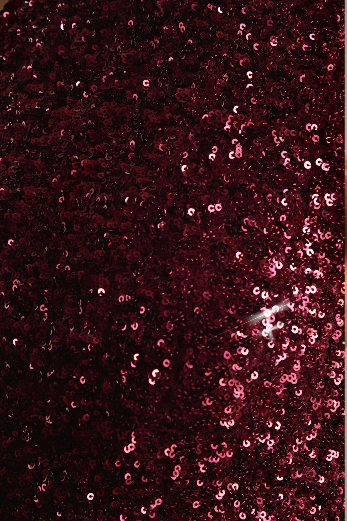 Tulia | Burgundy Sequin High-Neck Maxi Dress